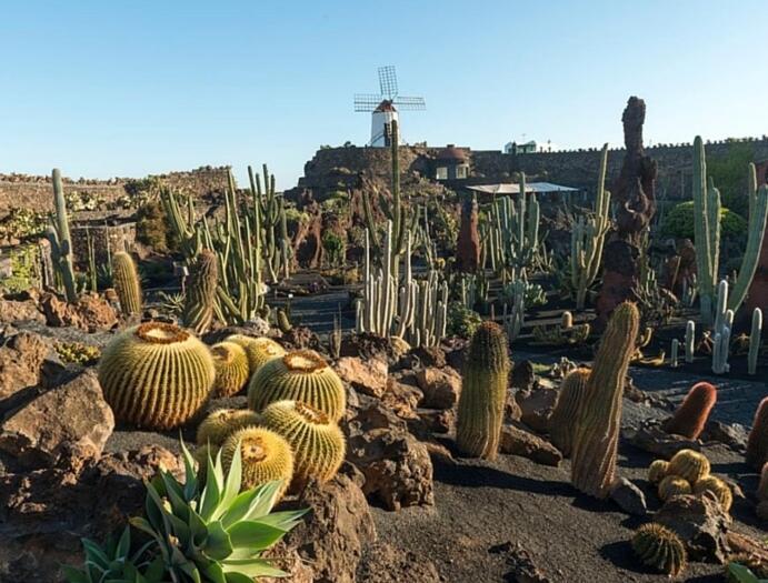 Calypso, apartamento completo con vistas al mar y a la piscina en Costa Teguise Exterior foto